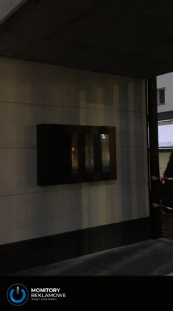 Monitor zewnętrzny 46