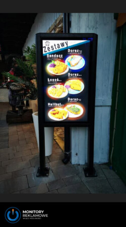 Monitor zewnętrzny 46