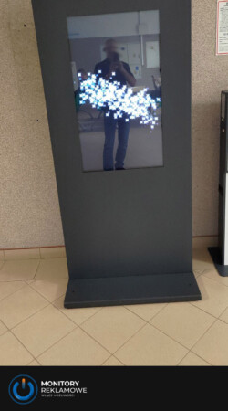 Totem wewnętrzny 43 cali